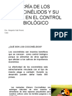 Cria de Catarinas o Coccinélidos y Su Papel en El Control