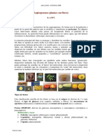 angiospermas_frutos_texto.pdf