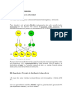 Las Tres Leyes de Mendel