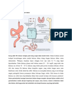 Metabolisme Kalsium Dan Metaboliame Vitamin E-Wps Office