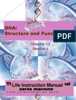 Dna: Structure and Function: Section 1