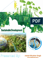 On Sustainable Development