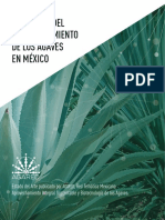 Agave de Mexico PDF
