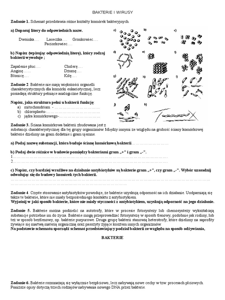 Wirusy Bakterie Protisty Grzyby Zadania