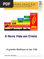 Apostila de Consolidação