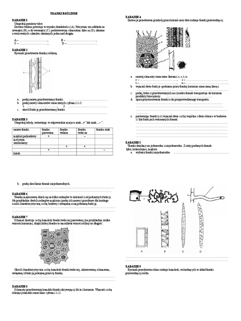 Tkanki Roślinne Test Pdf Klasa 5