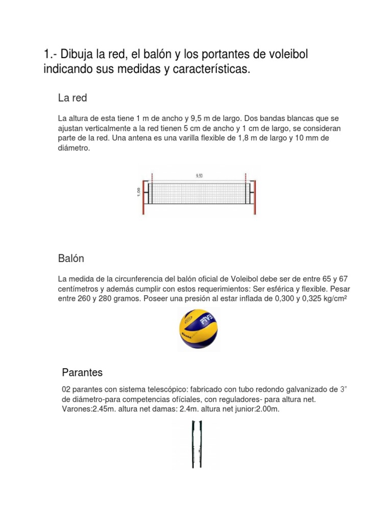 Red de voleibol medidas oficiales