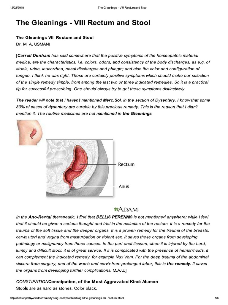 The Gleanings VIII Rectum and Stool Homeopathy World Community PDF