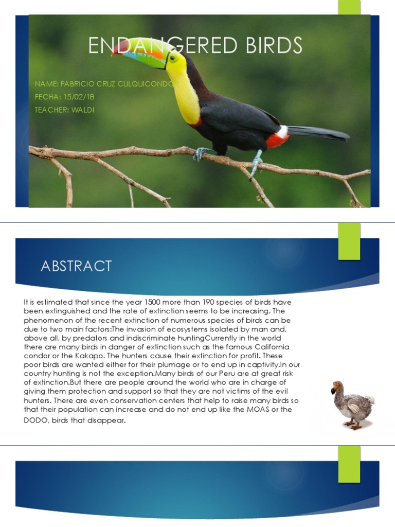 Endangered Bird Species and Conservation | PDF | Home & Garden ...