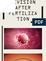Cell Division After Fertilization