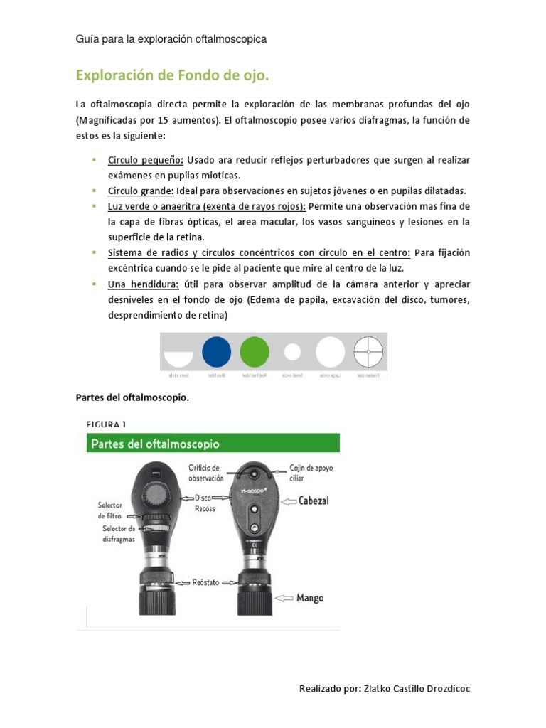 Guía de Oftalmoscopia Directa | PDF | Ojo humano | Sistema visual