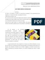 Ensayo Sobre Curriculum Nacional Base PDF
