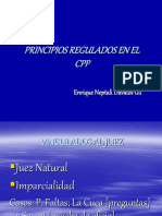 Principiosregualdos en El CPP