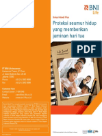 Brochuojuy PDF