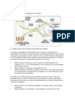 Fisiologia Laboratorio 2