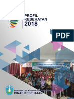 Profil Kesehatan 2018