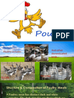 Poultry