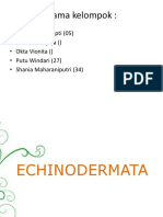 Power Point Echinodermata