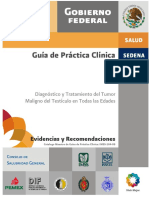 Cáncer Testicular PDF