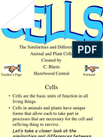 Animal Plant Cells