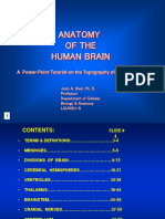 Anatomy of Brain Tutorial - John A. Beal