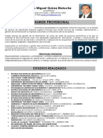 CV Documentado Pedro Quiroz Junio 2019