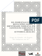 E-Book Há Indigenas em SP