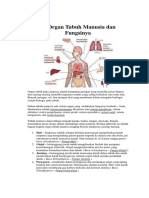 25 Organ Tubuh Manusia Dan Fungsinya