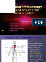 Cells and Tissues of The Immune System