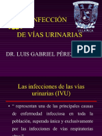 2 Infeccion Urinaria Luis Gabriel Perez Santos PDF