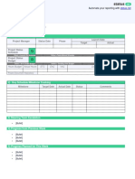 Project Status Summary Report (Project ID) - (Project Name)