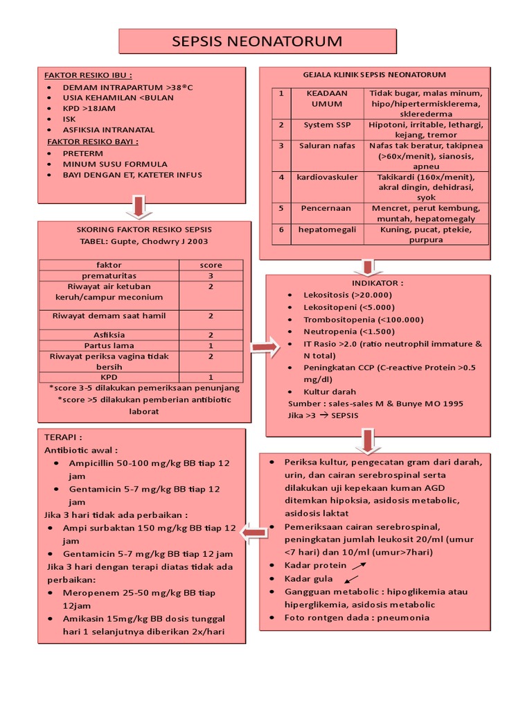 Sepsis Neonatorum PDF