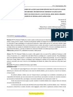 SISTEMA DE ANALISIS DE VALIDEZ DE LAS DECLARACIONES Protocolo SVA.pdf