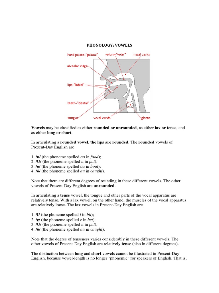 Phonology PDF Vowel Phoneme