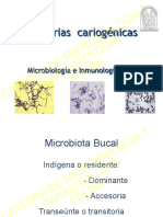 Bacterias Cariogenicas