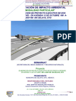 Paso A Desnivel Guanajuato PDF