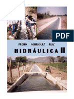 hidrulicadecanales-pedrorodrguezruiz.pdf