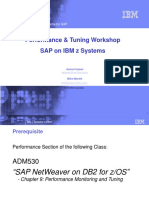 SAP For System Z Performance and Tuning Workshop-Abbreviated