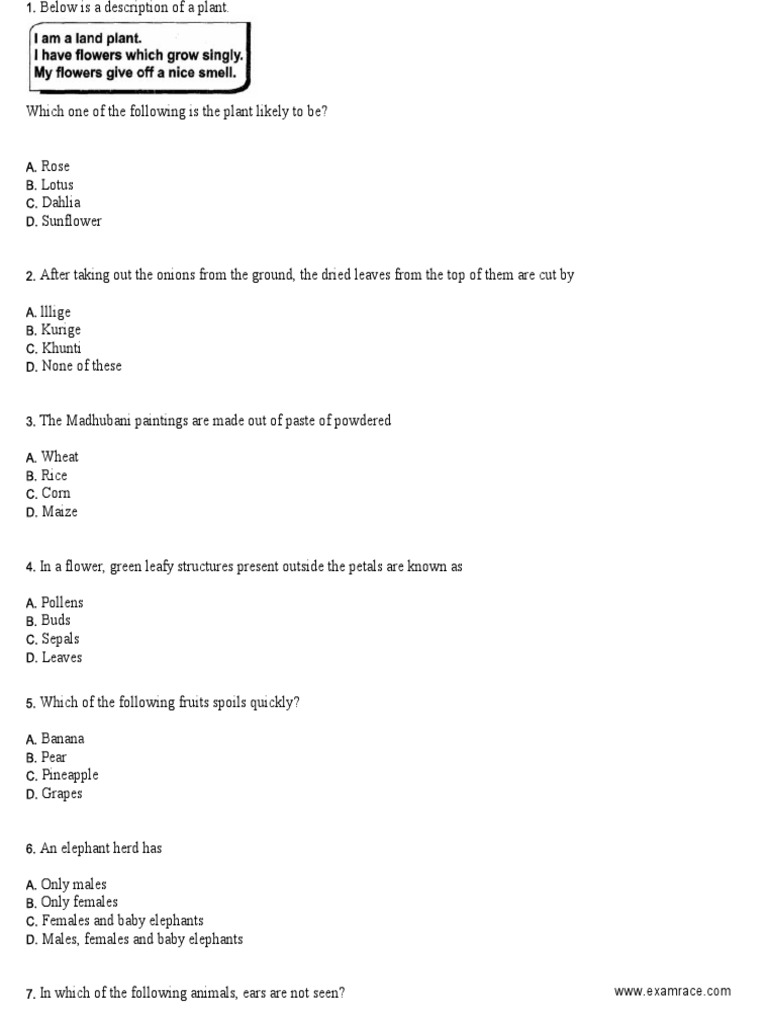 Nso Olympiad Sample Paper PDF | PDF | Solution | Water