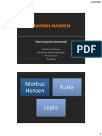 Morbus Hansen PDF