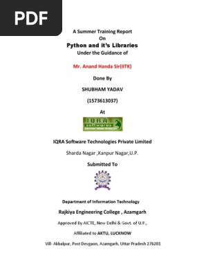 python report