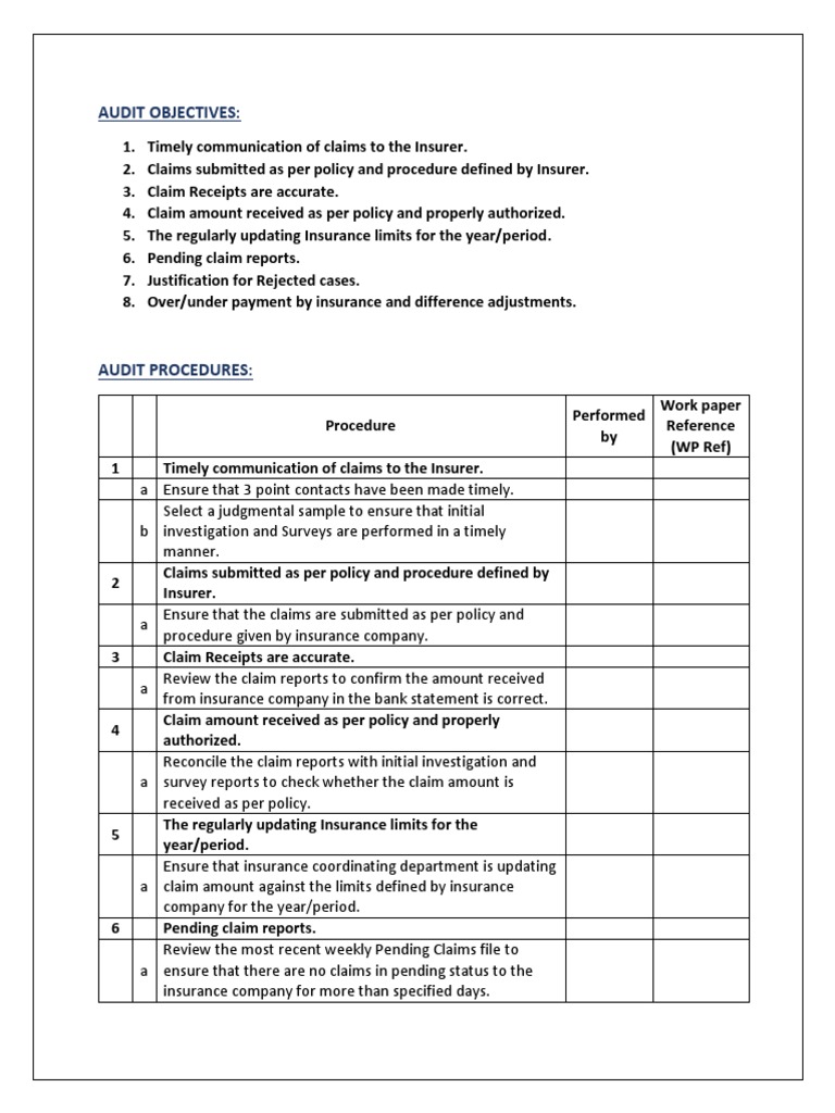 Insurance Claims Audit Program PDF Insurance Audit