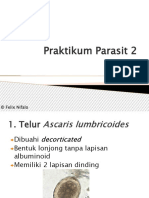 Praktikum Parasit 2 2