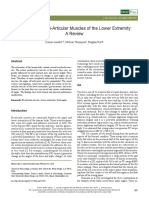 Actions of Two Bi-Articular Muscles of the Lower Extremity.a Review