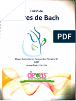 Curso de Flores de Bach