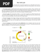Cell Organelles Worksheet KEY | Organelle | Cell (Biology)