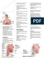 The Respiratory System Reviewer