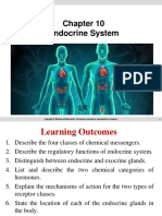 Endocrine System