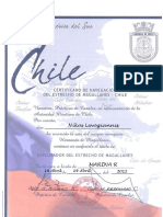 Chilean Certificate