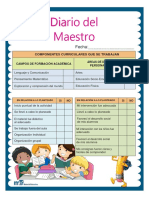 Diario Del Maestro